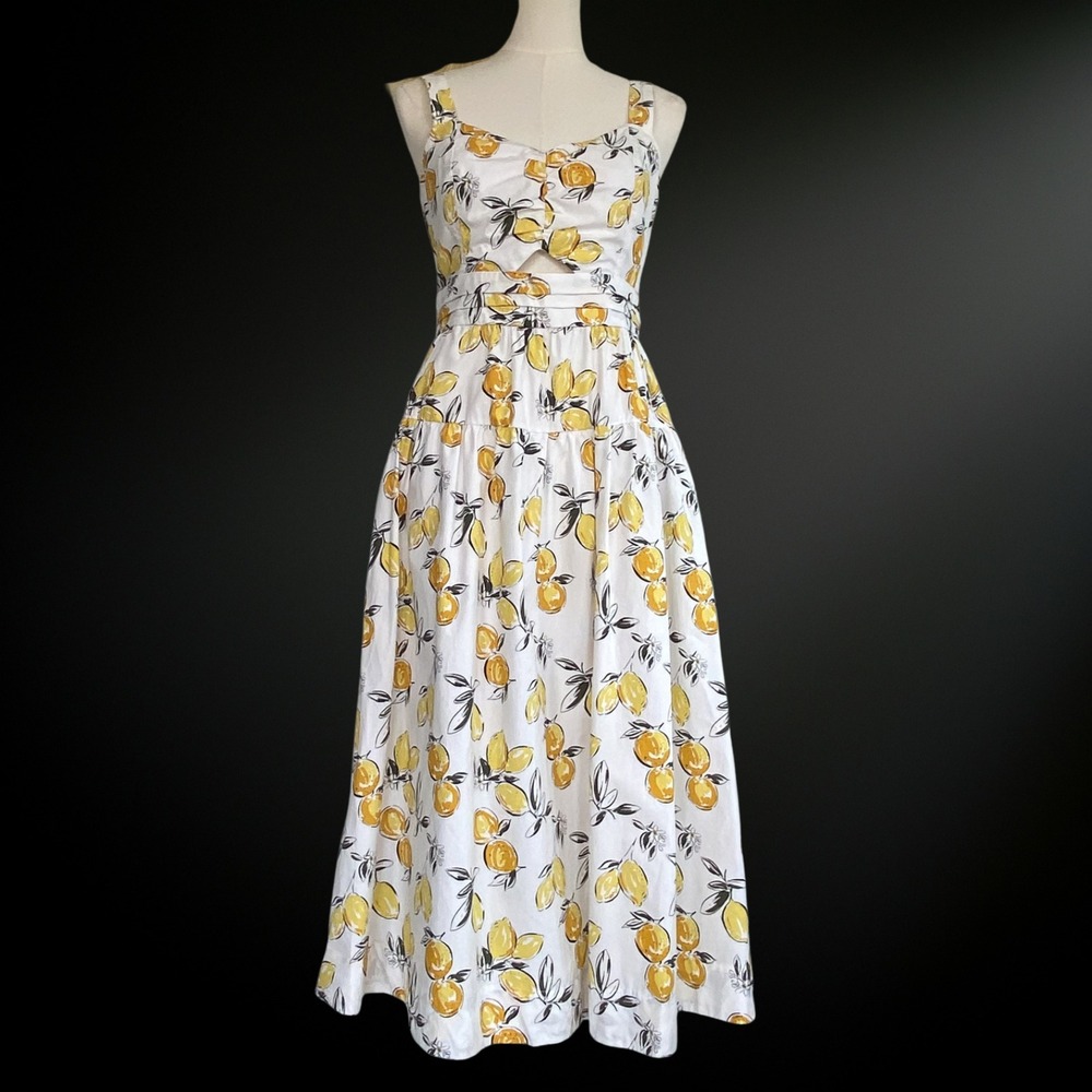 Free Assembly Lemon Print Euro Summer Midi Dress Size S Cottagecore Picnic